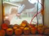 As people fed or starved the network of voltage (by picking lemons or adding lemons)
      the video would speed up or slow down.  The video was such that the chick getting
      fed depended on people feeding the network voltage.
